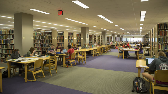 Book stacks and study area